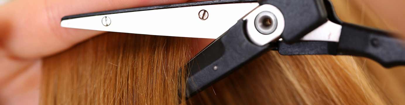 Hair Follicle