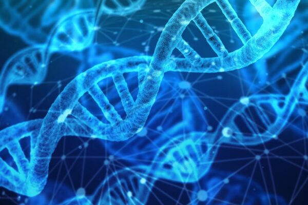 avuncular DNA test