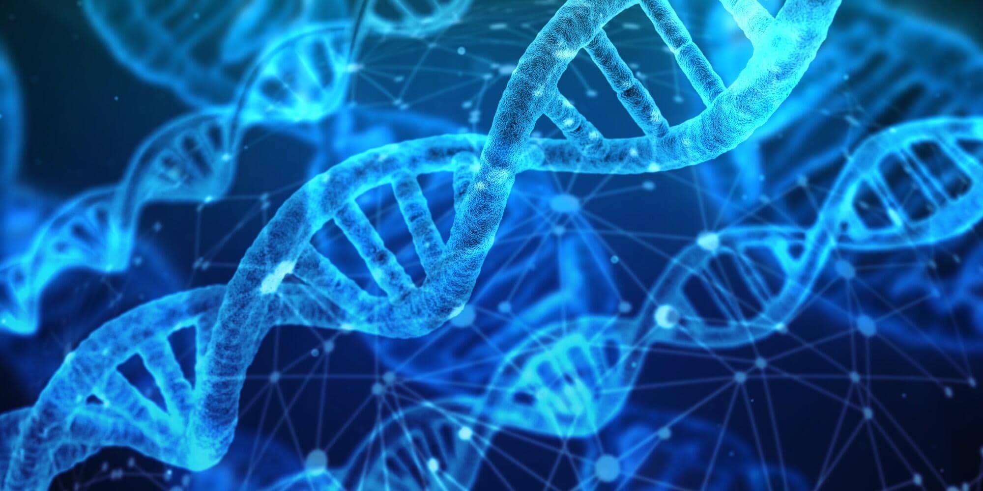 avuncular DNA test