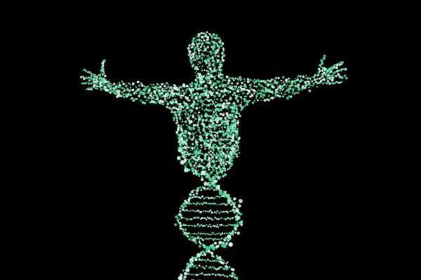 DNA tests, paternity DNA testing