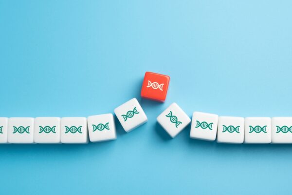 Paternity Testing